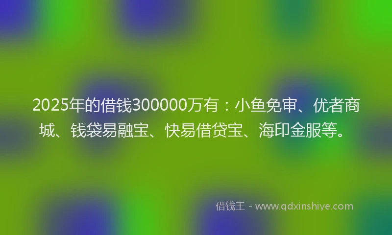 2025年的借钱300000万有：小鱼免审、优者商城、钱袋易融宝、快易借贷宝、海印金服等。