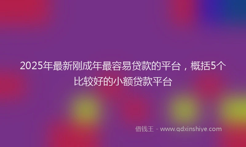 2025年最新刚成年最容易贷款的平台，概括5个比较好的小额贷款平台
