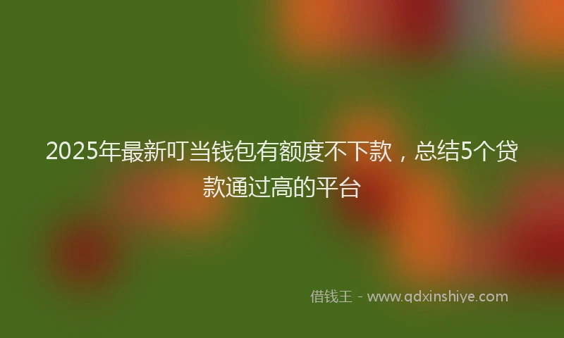 2025年最新叮当钱包有额度不下款，总结5个贷款通过高的平台