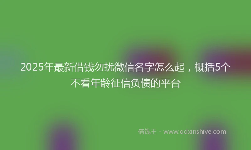 2025年最新借钱勿扰微信名字怎么起，概括5个不看年龄征信负债的平台