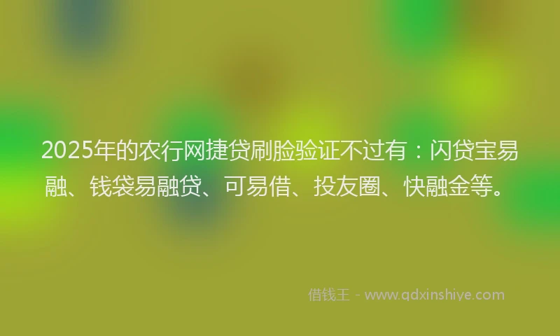 2025年的农行网捷贷刷脸验证不过有：闪贷宝易融、钱袋易融贷、可易借、投友圈、快融金等。