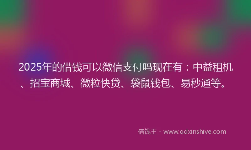 2025年的借钱可以微信支付吗现在有：中益租机、招宝商城、微粒快贷、袋鼠钱包、易秒通等。