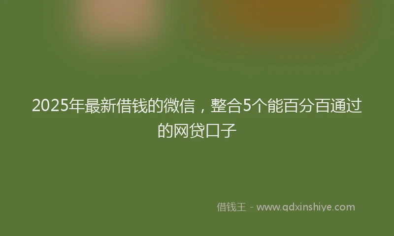 2025年最新借钱的微信，整合5个能百分百通过的网贷口子