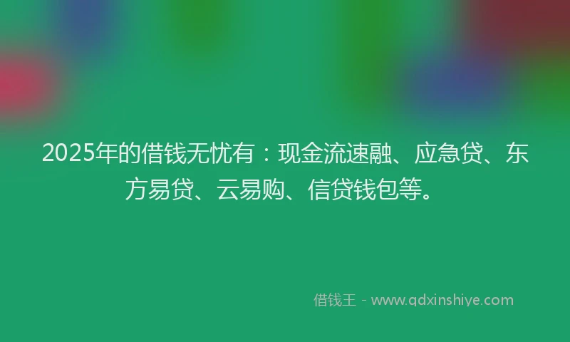 2025年的借钱无忧有：现金流速融、应急贷、东方易贷、云易购、信贷钱包等。