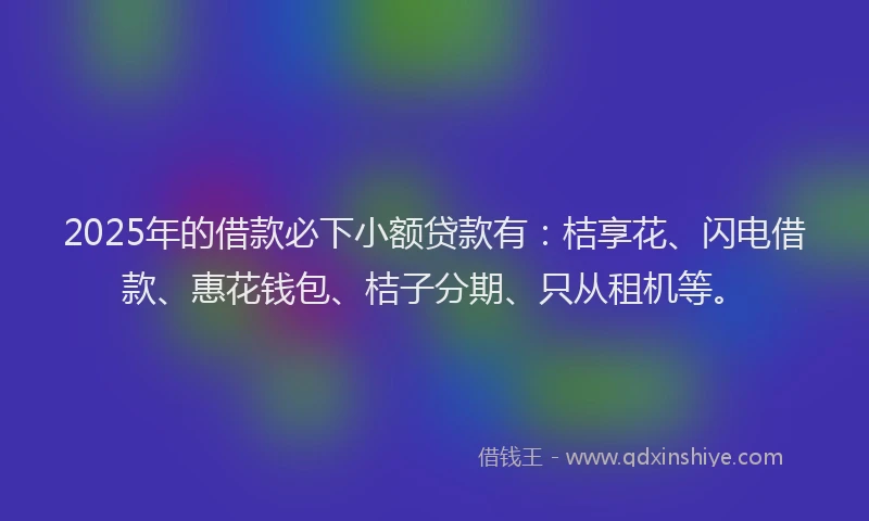 2025年的借款必下小额贷款有：桔享花、闪电借款、惠花钱包、桔子分期、只从租机等。