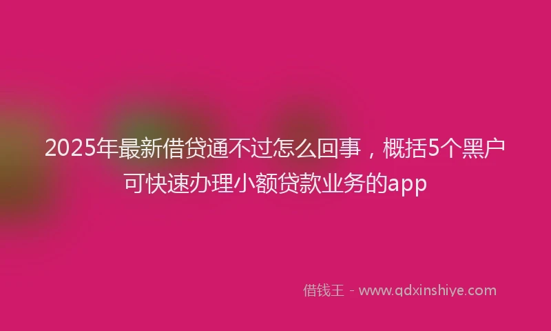 2025年最新借贷通不过怎么回事，概括5个黑户可快速办理小额贷款业务的app