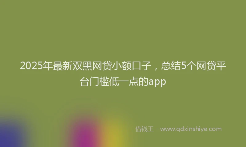 2025年最新双黑网贷小额口子，总结5个网贷平台门槛低一点的app