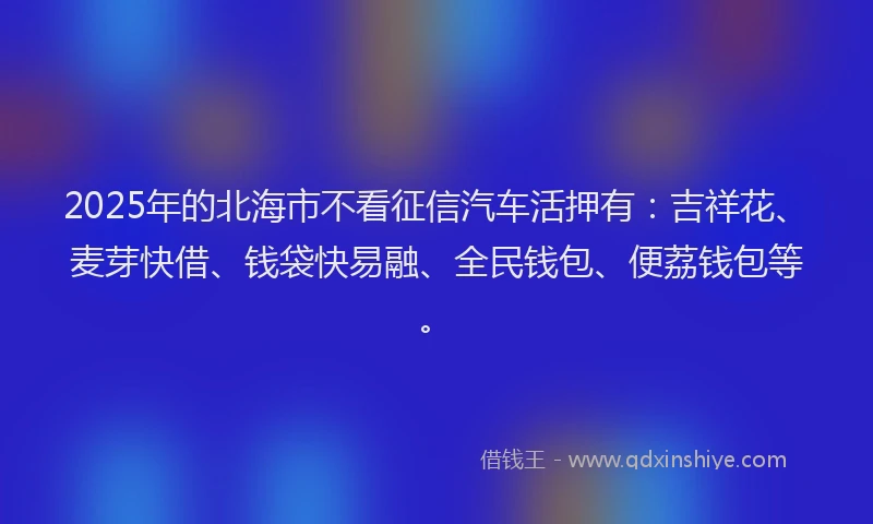 2025年的北海市不看征信汽车活押有：吉祥花、麦芽快借、钱袋快易融、全民钱包、便荔钱包等。