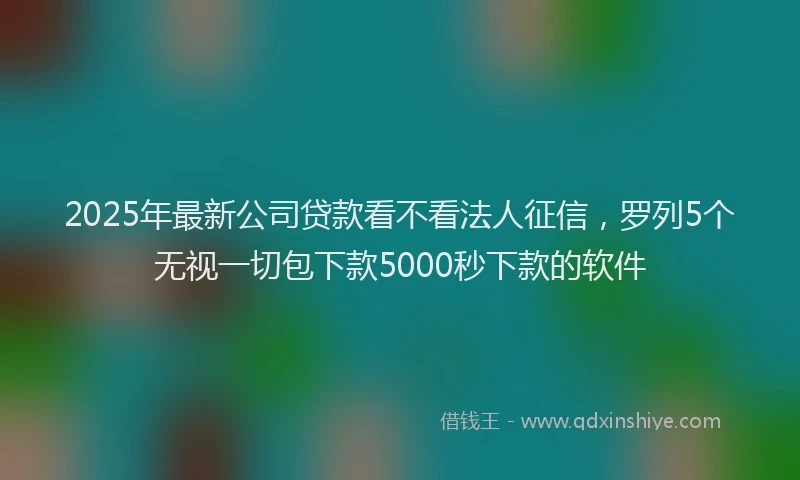 2025年最新公司贷款看不看法人征信，罗列5个无视一切包下款5000秒下款的软件