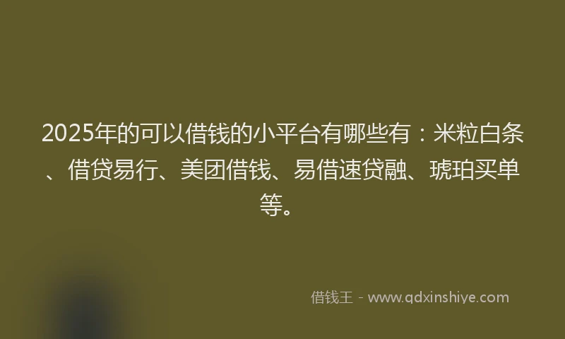 2025年的可以借钱的小平台有哪些有：米粒白条、借贷易行、美团借钱、易借速贷融、琥珀买单等。