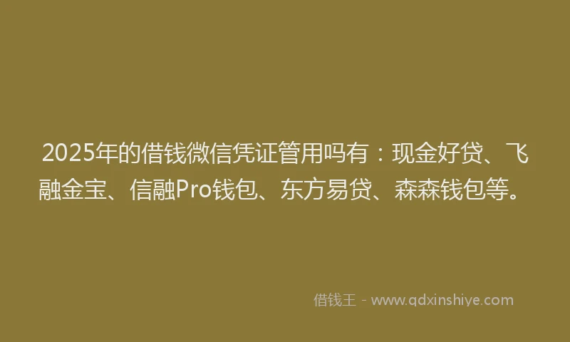 2025年的借钱微信凭证管用吗有：现金好贷、飞融金宝、信融Pro钱包、东方易贷、森森钱包等。