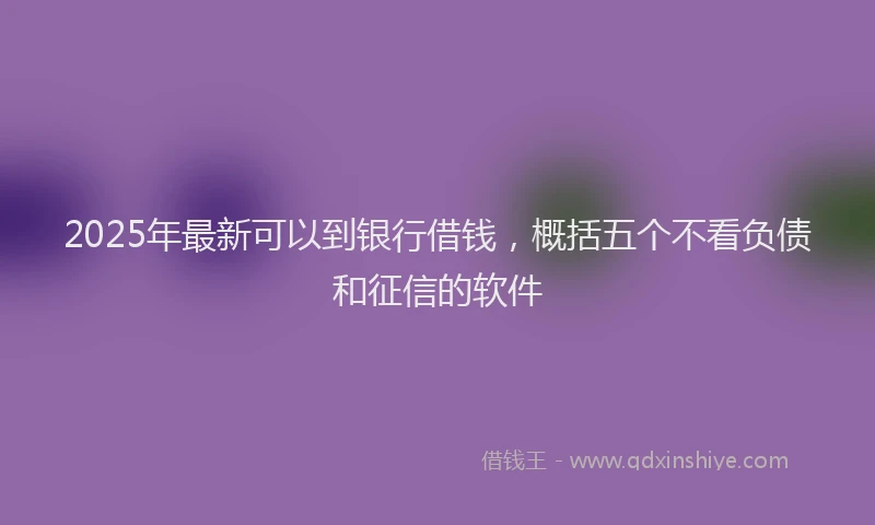 2025年最新可以到银行借钱，概括五个不看负债和征信的软件