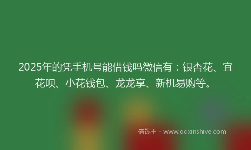 2025年的凭手机号能借钱吗微信有：银杏花、宜花呗、小花钱包、龙龙享、新机易购等。