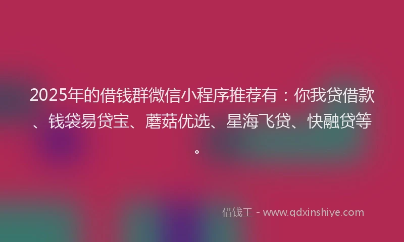 2025年的借钱群微信小程序推荐有：你我贷借款、钱袋易贷宝、蘑菇优选、星海飞贷、快融贷等。