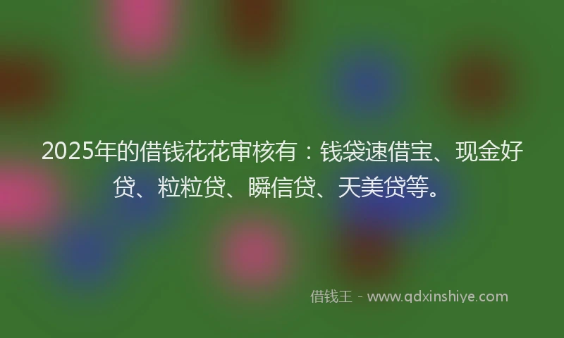 2025年的借钱花花审核有：钱袋速借宝、现金好贷、粒粒贷、瞬信贷、天美贷等。