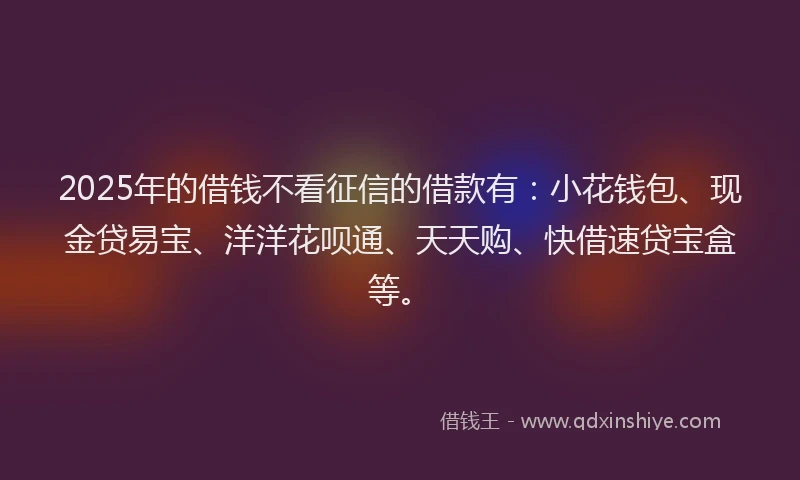 2025年的借钱不看征信的借款有：小花钱包、现金贷易宝、洋洋花呗通、天天购、快借速贷宝盒等。