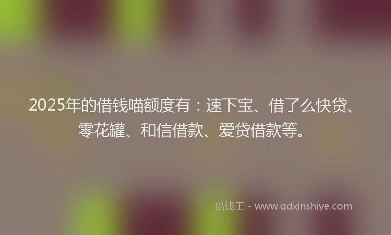 2025年的借钱喵额度有：速下宝、借了么快贷、零花罐、和信借款、爱贷借款等。