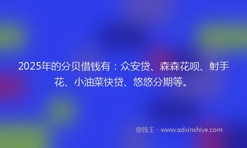2025年的分贝借钱有：众安贷、森森花呗、射手花、小油菜快贷、悠悠分期等。