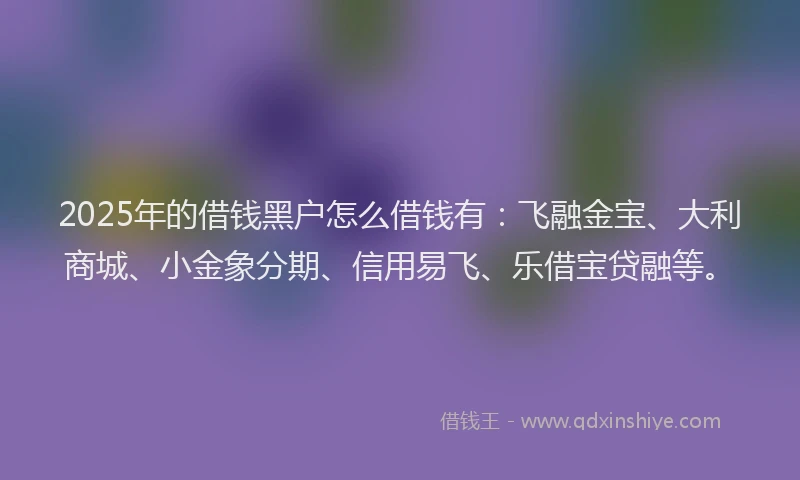 2025年的借钱黑户怎么借钱有：飞融金宝、大利商城、小金象分期、信用易飞、乐借宝贷融等。