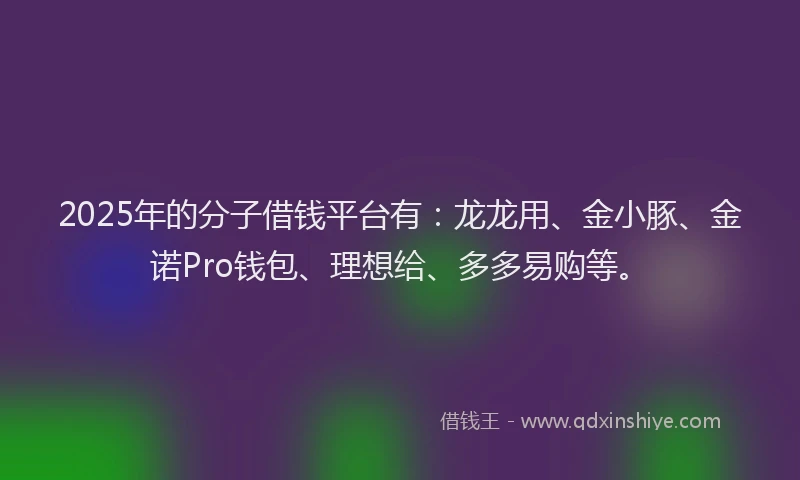 2025年的分子借钱平台有:龙龙用、金小豚、金诺Pro钱包、理想给、多多易购等。