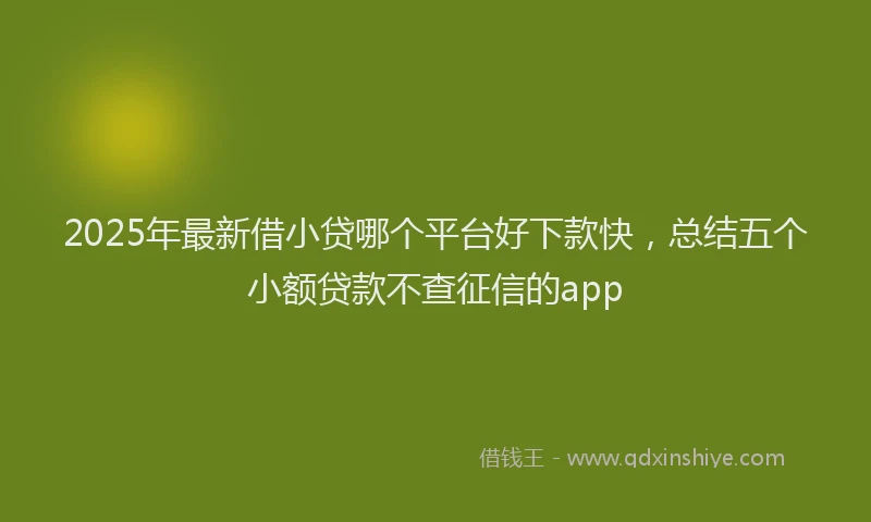 2025年最新借小贷哪个平台好下款快，总结五个小额贷款不查征信的app