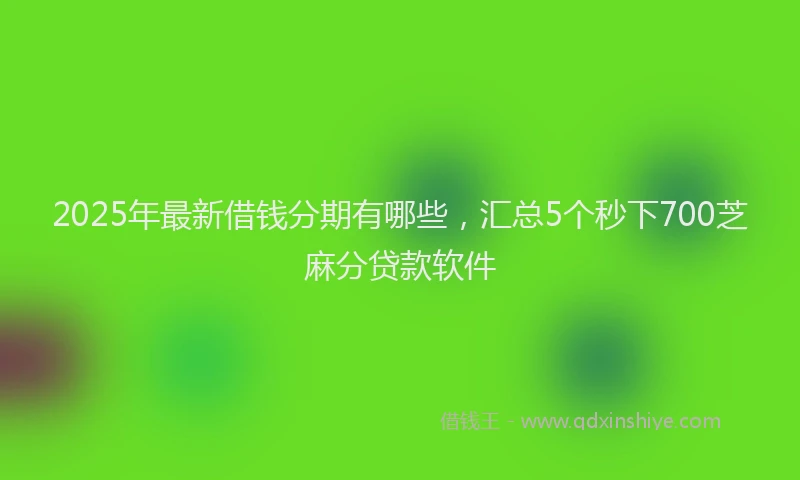 2025年最新借钱分期有哪些，汇总5个秒下700芝麻分贷款软件