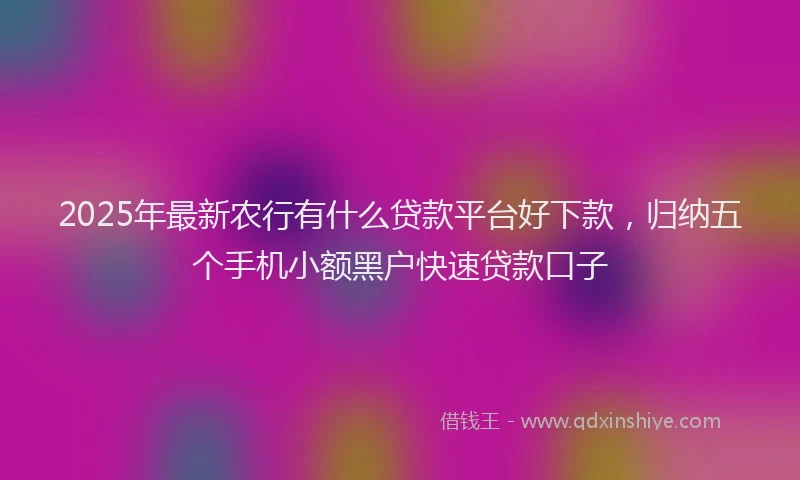 2025年最新农行有什么贷款平台好下款，归纳五个手机小额黑户快速贷款口子