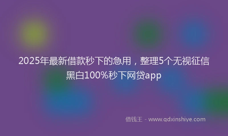2025年最新借款秒下的急用，整理5个无视征信黑白100%秒下网贷app