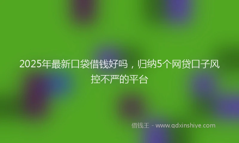 2025年最新口袋借钱好吗，归纳5个网贷口子风控不严的平台