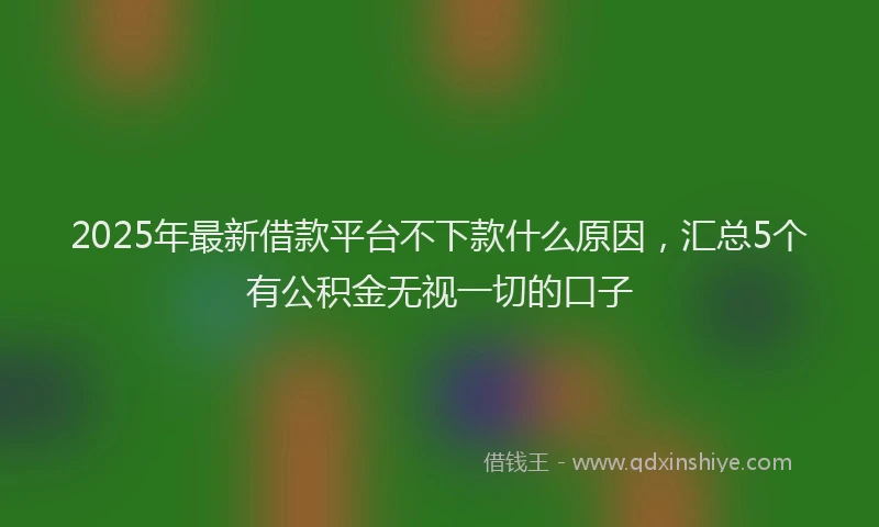 2025年最新借款平台不下款什么原因，汇总5个有公积金无视一切的口子