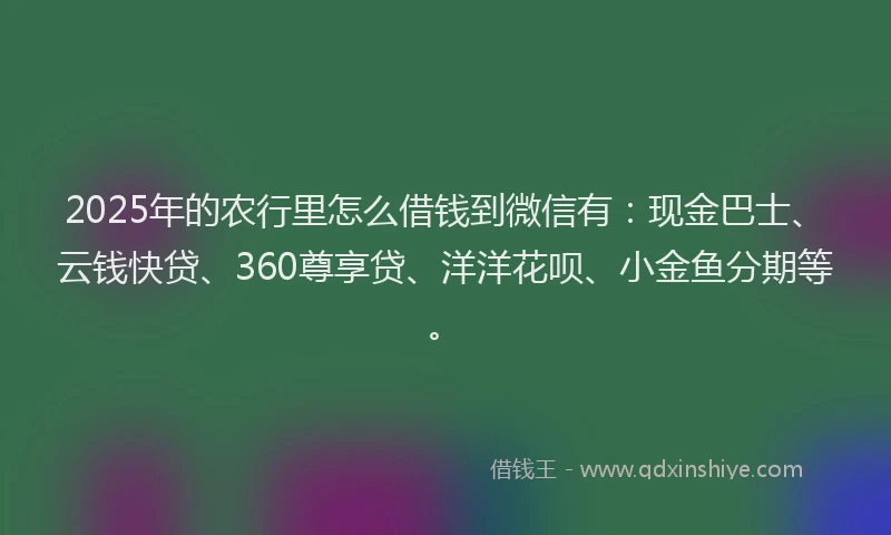 2025年的农行里怎么借钱到微信有：现金巴士、云钱快贷、360尊享贷、洋洋花呗、小金鱼分期等。