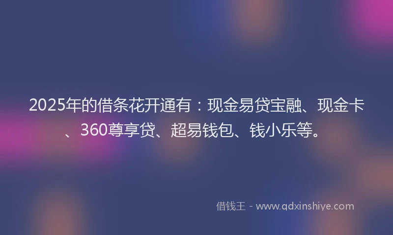 2025年的借条花开通有：现金易贷宝融、现金卡、360尊享贷、超易钱包、钱小乐等。