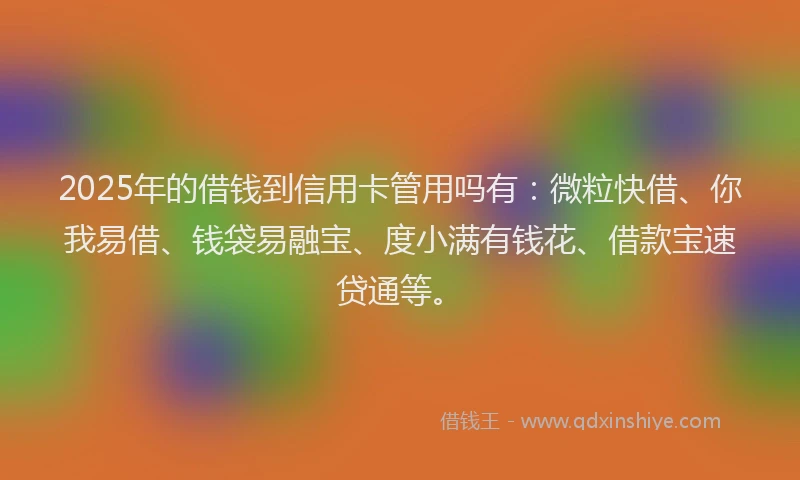 2025年的借钱到信用卡管用吗有：微粒快借、你我易借、钱袋易融宝、度小满有钱花、借款宝速贷通等。