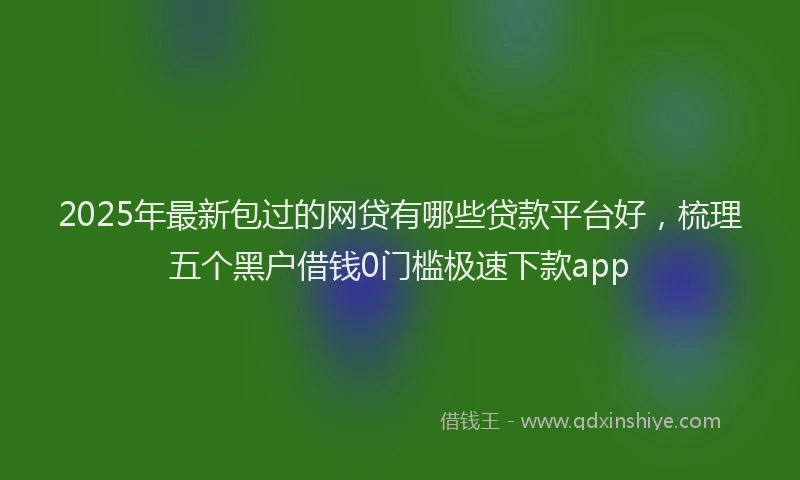 2025年最新包过的网贷有哪些贷款平台好，梳理五个黑户借钱0门槛极速下款app