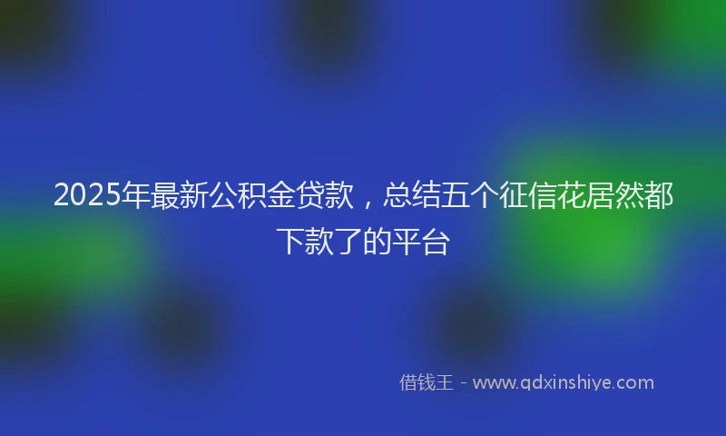 2025年最新公积金贷款，总结五个征信花居然都下款了的平台