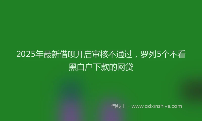 2025年最新借呗开启审核不通过，罗列5个不看黑白户下款的网贷