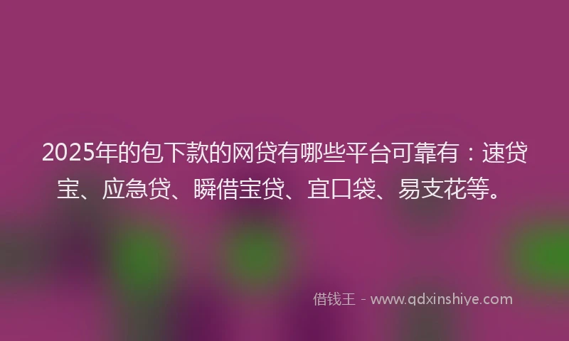 2025年的包下款的网贷有哪些平台可靠有：速贷宝、应急贷、瞬借宝贷、宜口袋、易支花等。