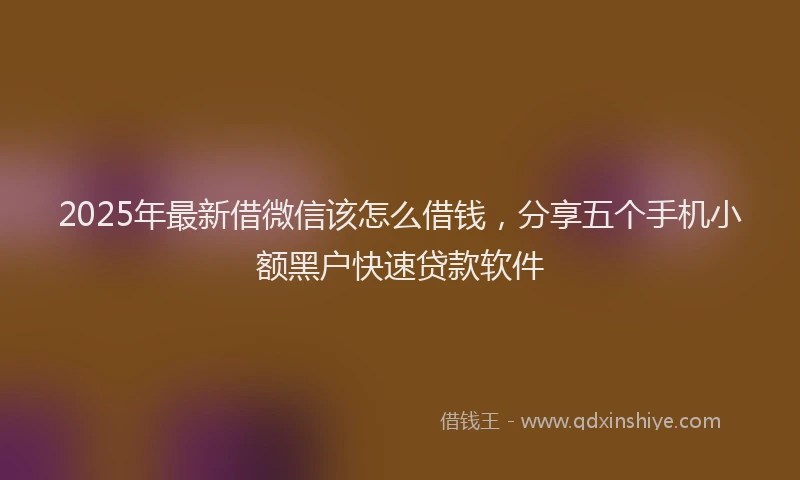 2025年最新借微信该怎么借钱，分享五个手机小额黑户快速贷款软件