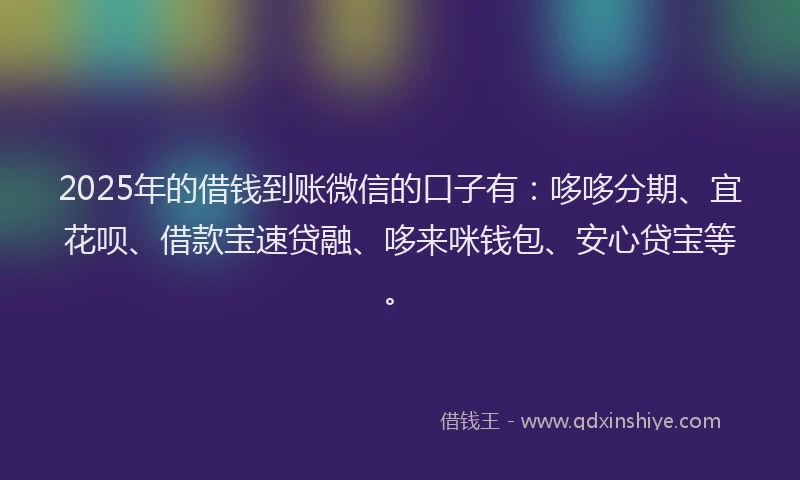 2025年的借钱到账微信的口子有：哆哆分期、宜花呗、借款宝速贷融、哆来咪钱包、安心贷宝等。