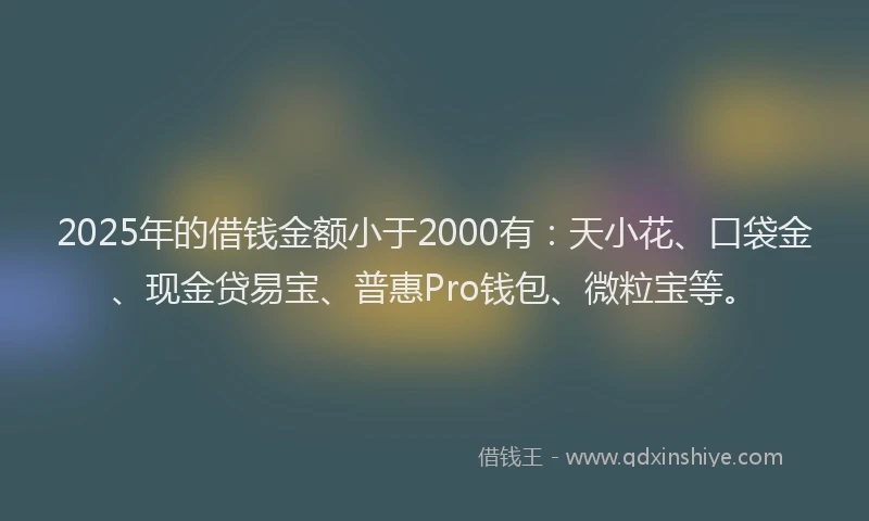 2025年的借钱金额小于2000有：天小花、口袋金、现金贷易宝、普惠Pro钱包、微粒宝等。