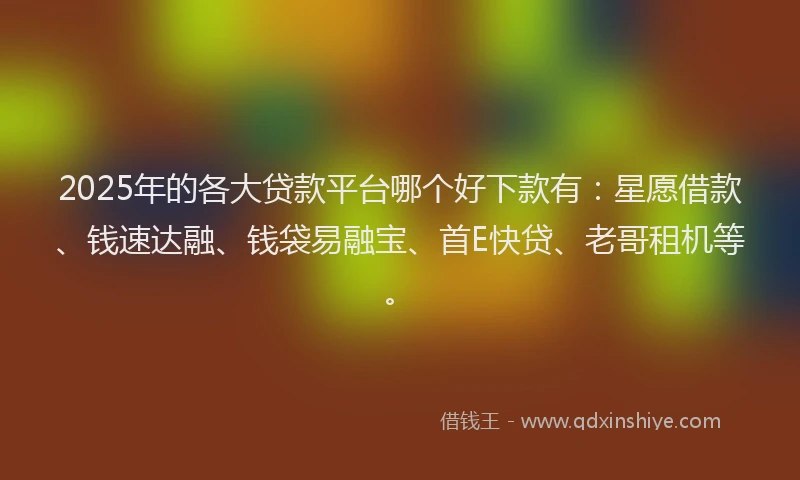 2025年的各大贷款平台哪个好下款有：星愿借款、钱速达融、钱袋易融宝、首E快贷、老哥租机等。