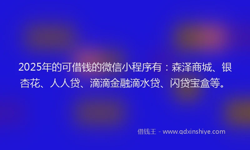 2025年的可借钱的微信小程序有：森泽商城、银杏花、人人贷、滴滴金融滴水贷、闪贷宝盒等。