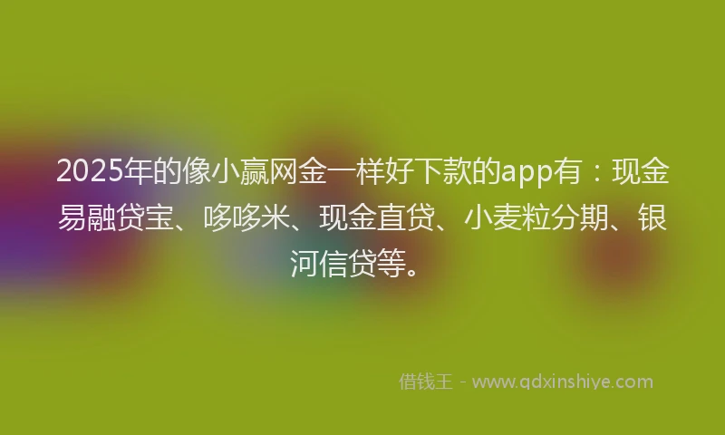 2025年的像小赢网金一样好下款的app有：现金易融贷宝、哆哆米、现金直贷、小麦粒分期、银河信贷等。