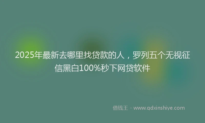 2025年最新去哪里找贷款的人，罗列五个无视征信黑白100%秒下网贷软件
