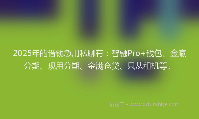 2025年的借钱急用私聊有：智融Pro+钱包、金瀛分期、现用分期、金满仓贷、只从租机等。
