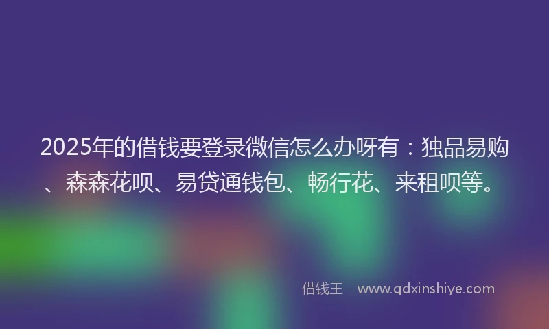2025年的借钱要登录微信怎么办呀有：独品易购、森森花呗、易贷通钱包、畅行花、来租呗等。
