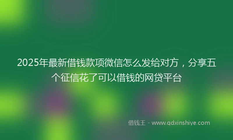 2025年最新借钱款项微信怎么发给对方，分享五个征信花了可以借钱的网贷平台