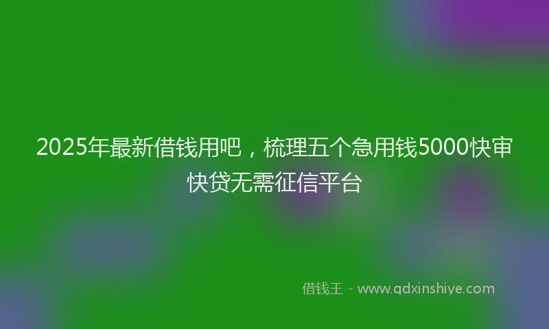 2025年最新借钱用吧，梳理五个急用钱5000快审快贷无需征信平台
