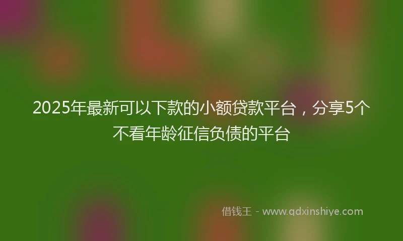 2025年最新可以下款的小额贷款平台，分享5个不看年龄征信负债的平台