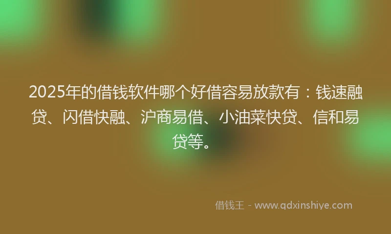 2025年的借钱软件哪个好借容易放款有：钱速融贷、闪借快融、沪商易借、小油菜快贷、信和易贷等。